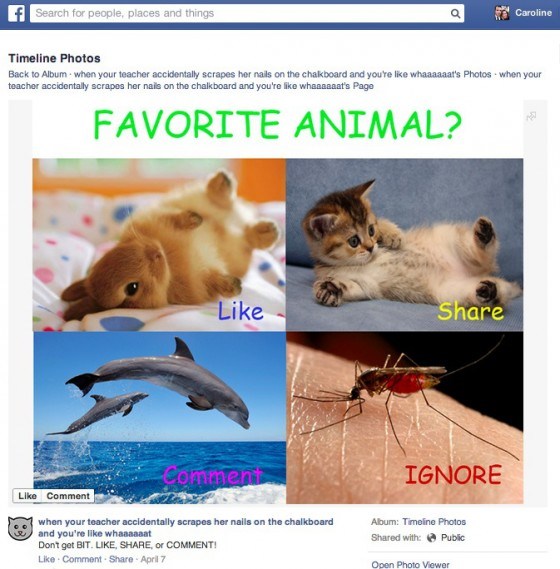 Facebook lutte contre le spam
